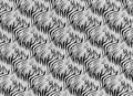 Texture of fabric stripes zebra