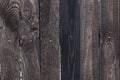 Texture of fence made of dark wooden boards