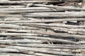 Texture of fence of woven willow twigs for background