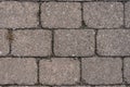 Texture Figured Paving Slabs. Seamless Texture. High resolution. Herrinbone grey paving tile seamless texture