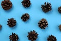 Texture of fir cones on a blue background