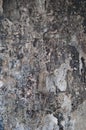 Texture fire damage Royalty Free Stock Photo