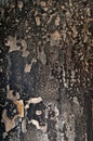 Texture fire damage Royalty Free Stock Photo