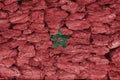 Texture of the Flag of Morocco on a decorative bark.