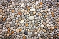 texture of flattened, round pebbles on a walkway