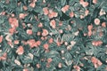 Texture of flowers, abstract floral tropical exotic plants and flowers