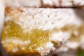 Texture of fluffy sponge cake, close up view Royalty Free Stock Photo