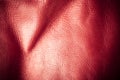 Texture of folds vivid red skin leather background