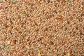 Food for parakeet mixture of grains