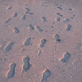 Texture - Footsteps In The Sandy Beach Royalty Free Stock Photo