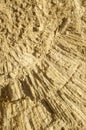 Texture formed by the corals in coastal limestone. Royalty Free Stock Photo