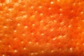 texture of fragrant orange tangerine peel close-up. Background for an article about natural spices for mulled wine Royalty Free Stock Photo