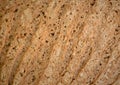 Texture of fresh bread crust Royalty Free Stock Photo