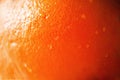 Texture of fresh bright orange peel, closeup, copy space. Macro of orange fruit. Citrus fruit background Royalty Free Stock Photo