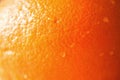 Texture of fresh bright orange peel, closeup, copy space. Macro of orange fruit. Citrus fruit background Royalty Free Stock Photo