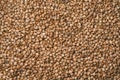 Texture of fresh clean useful buckwheat groats grain close-up. Healthy dietary food rich in microelements cellulose