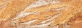 Texture of fresh crispy bread or baguette