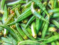 Texture of fresh green ladies fingers