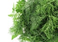 Texture of fresh herb close up. Royalty Free Stock Photo