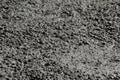 Texture of fresh and hydrated ready-mix concrete Royalty Free Stock Photo