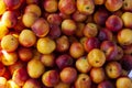 Texture of fresh nectarines top view. Royalty Free Stock Photo