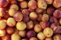 Texture of fresh nectarines top view. Royalty Free Stock Photo