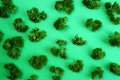 Texture of fresh parsley on a green background Royalty Free Stock Photo