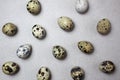 Texture of fresh quail eggs lie on a gray surface