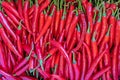 Texture of fresh Red pepper. A lot of spicy collected. Fresh Chilli close-up. Background of Chilli pepper