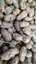 texture of freshly harvested peanuts