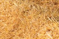 Texture of freshly mown wheat straw in the field.