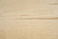 Texture of freshly sawn wood, background, closeup