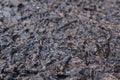 Texture of frozen mud. The concept of dead earth, planet. Selective focus