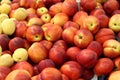 Texture of juicy bright nectarine in one heap.