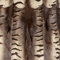 The texture of the fur hangs vertically in beautiful folds Royalty Free Stock Photo