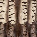 The texture of the fur hangs vertically in beautiful folds Royalty Free Stock Photo