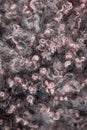 Texture of fur, macro colored sheep hair background, natural fluffy wool, furry surface