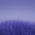 The texture of the fur is Very Peri color. The color of 2022. Realistic purple fur. 3d render. Color trends