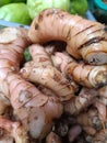 Texture of galangal, this spice for cooking Royalty Free Stock Photo