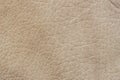 Texture of genuine leather close-up, background. Manufacturing of leather accessory concept Royalty Free Stock Photo