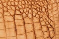 Texture of genuine leather close-up, embossed under the skin a brown reptile, background