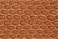 Texture of genuine leather close-up, embossed under skin of gold brown reptile. For modern pattern, wallpaper Royalty Free Stock Photo