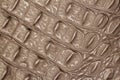 Texture of genuine leather close-up, embossed under the skin an olive color crocodile, background