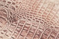 Texture of genuine leather close-up, embossed under the skin a reptile, alligator, beige brown color Royalty Free Stock Photo