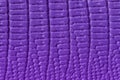 Texture of genuine leather close-up, embossed under the skin of reptile, violet color, background Royalty Free Stock Photo