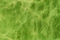 Texture of genuine leather close-up, light green color, surface with wrinkles and cracks, trendy background Royalty Free Stock Photo