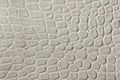 Texture of genuine patent leather close-up, embossed under the skin reptile. For modern pattern, wallpaper or banner