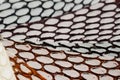 Texture of genuine patent leather closeup embossed under the skin a reptile, color samples, selective focus