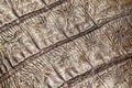 Texture of genuine reptile leather close-up, bronze khaki color. Trendy pattern