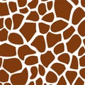 Texture of giraffe skin Royalty Free Stock Photo